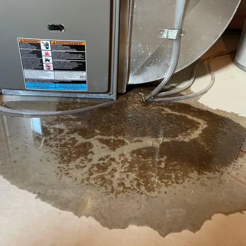 Appliance Leak Cleanup in Hancock County, OH